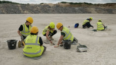 Scoperte impronte di dinosauro lunghe oltre 200 metri in una cava dell’Oxfordshire, in Gran Bretagna