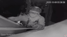 La flottiglia di aiuti umanitari diretta a Gaza viene intercettata dalle forze israeliane
