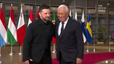 Zelensky arriva a Bruxelles per il Consiglio Europeo