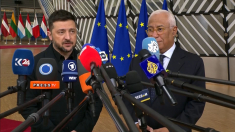 Zelensky al Consiglio europeo: Presa una decisione cruciale per tutti noi