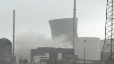 Demolizione delle torri di raffreddamento di una centrale nucleare tedesca