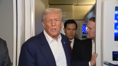 Trump: Elon Musk mi piace e mi è sempre piaciuto