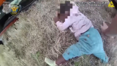 Polizia del Texas salva una neonata priva di sensi e intrappolata sotto un’auto ribaltata