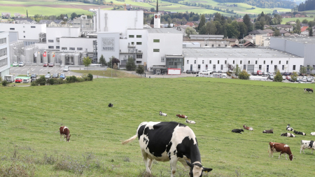 Nestlé abbandona l’Alleanza per la riduzione del metano “bovino”