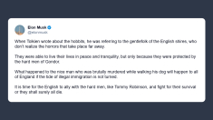 Elon Musk: è ora che gli inglesi si alleino con gli uomini duri