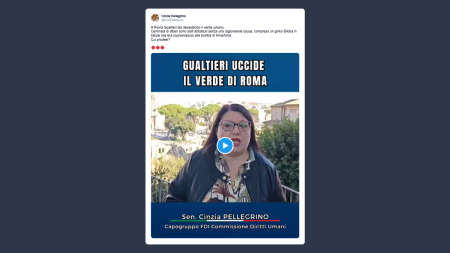 Pellegrino: a Roma centinaia di alberi sono stati abbattuti senza una ragionevole causa