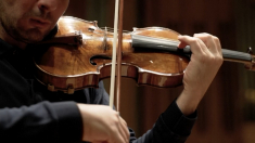 Violino Stradivari del Settecento da 16 milioni di dollari protagonista a Bruxelles