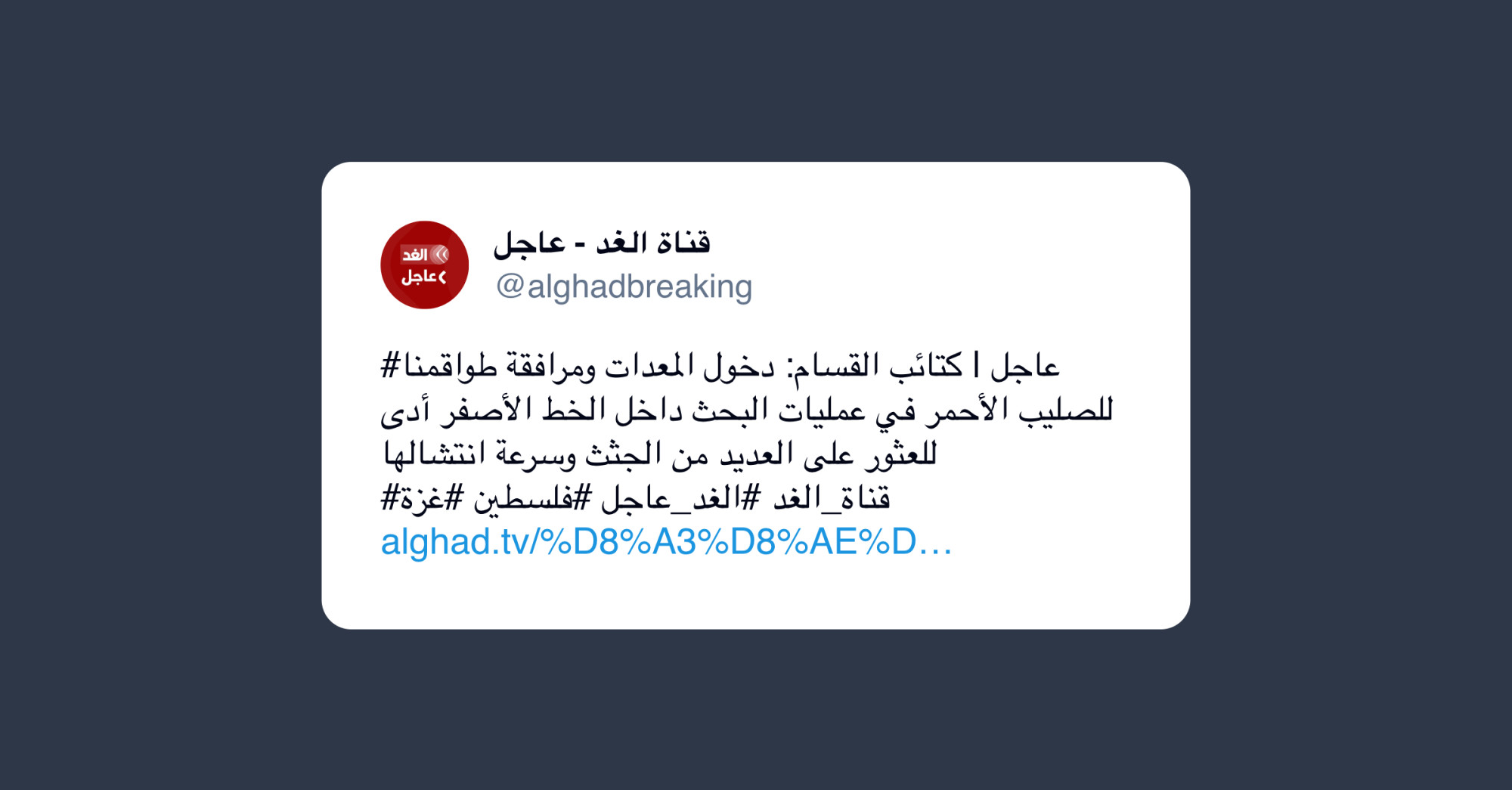 Il Ministro degli Esteri libanese: limitiamo il possesso delle armi nel Paese